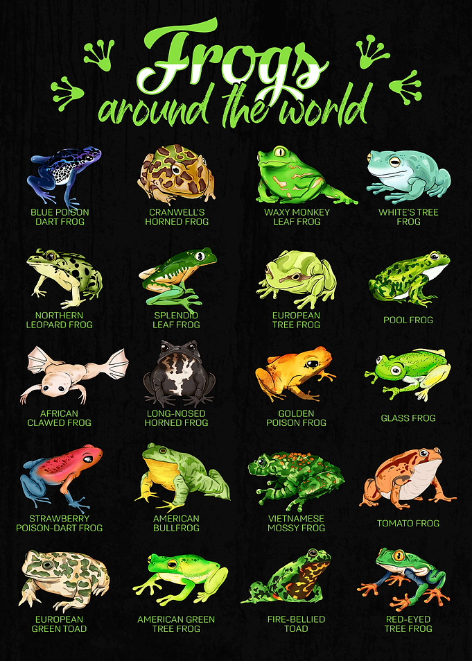 Types of Frogs - Frogs Around the World