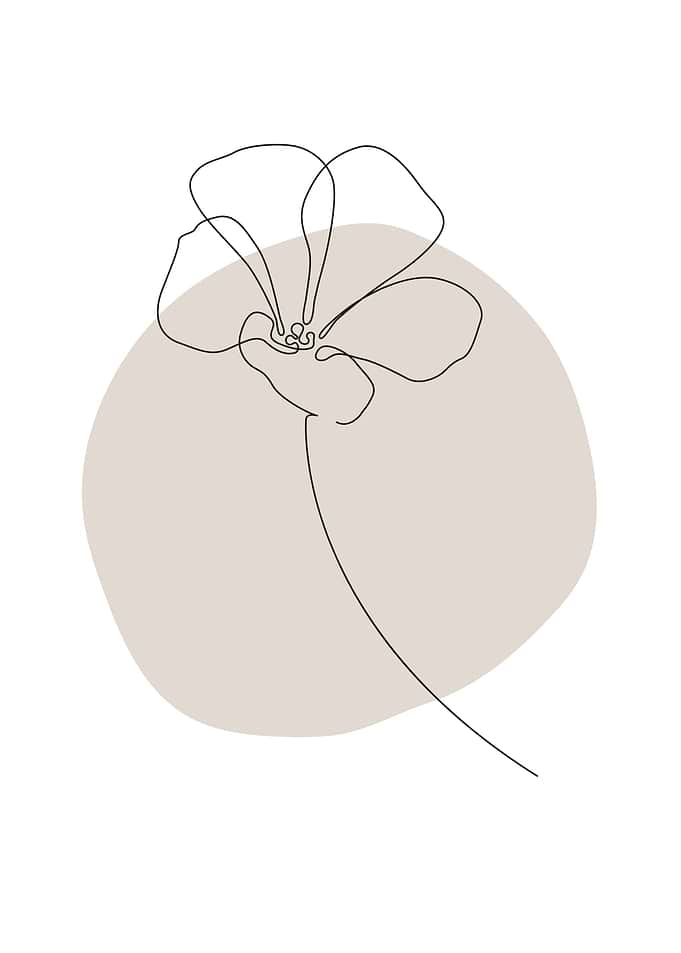 Minimalist Flower Line Art