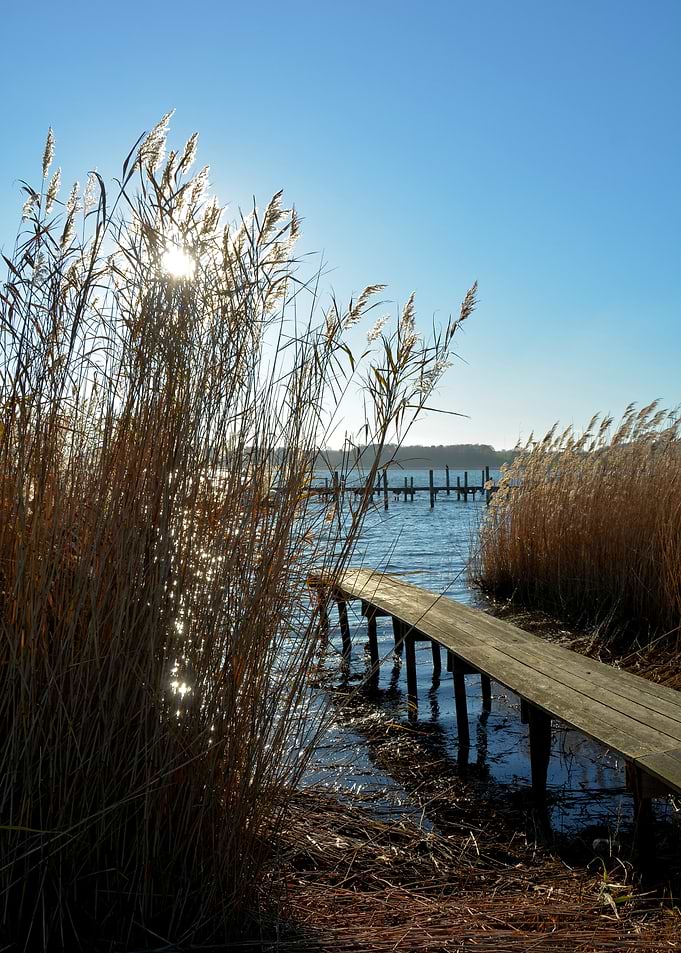 Wooden Dock by the Lake