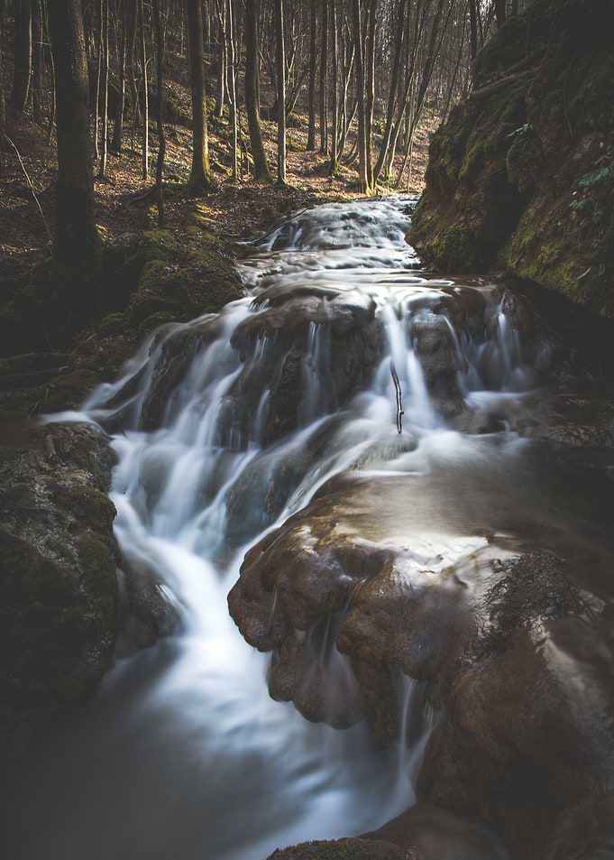Forest Waterfall