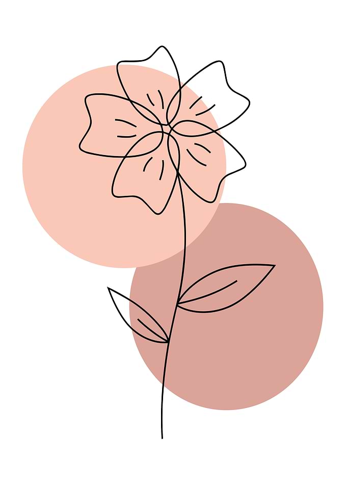 Minimalist Flower Line Art
