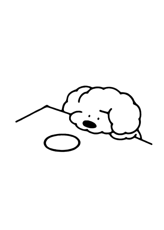 Dog Looking at Bowl