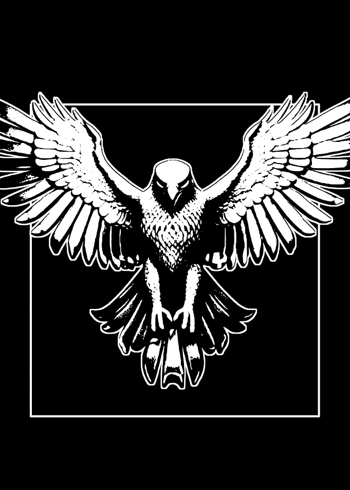 Eagle Wings Graphic