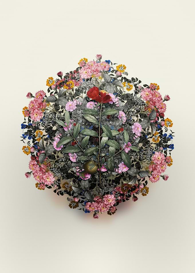 Floral Circle Pomegranate Branch Wreath Art