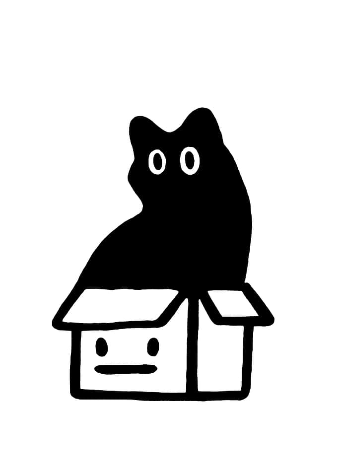 Cat in a Box