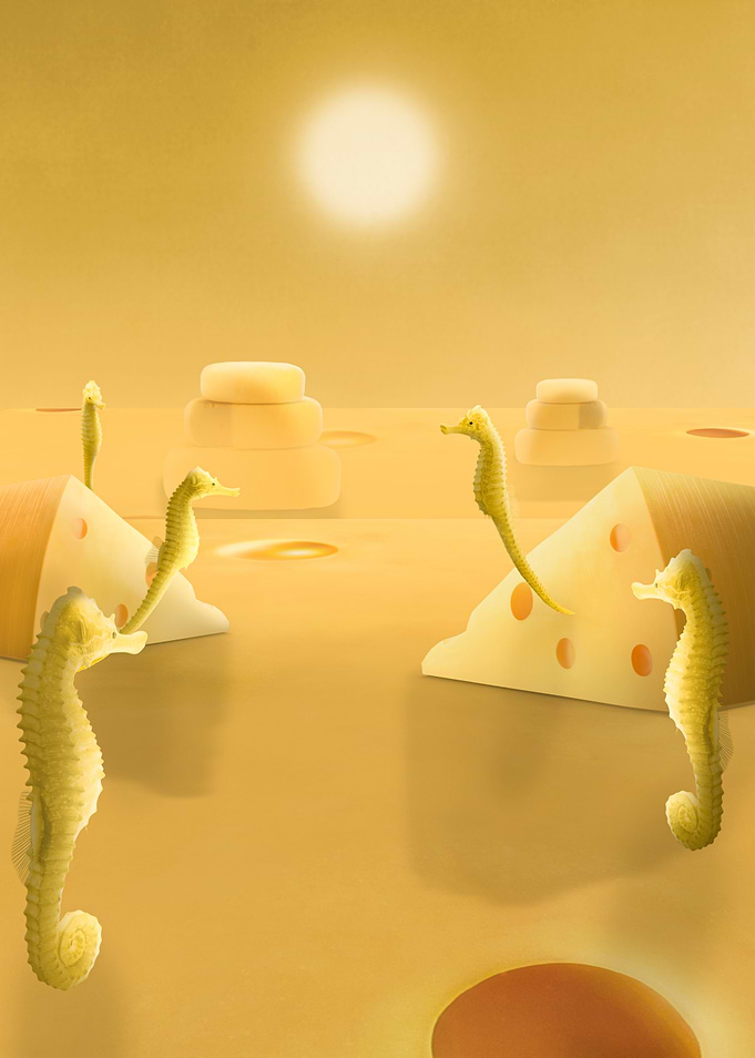 Seahorse Plains and Dairy Dreams