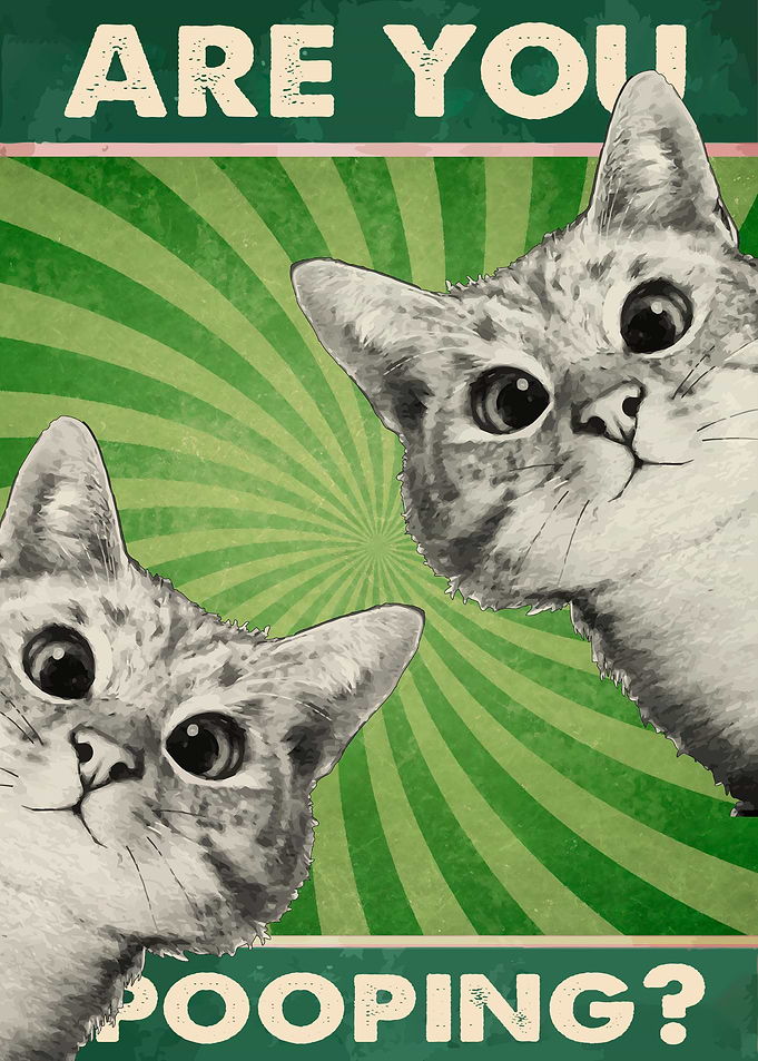 Funny Cat Pooping Poster