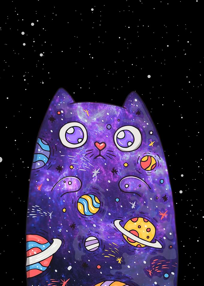 Space Cat Galaxy