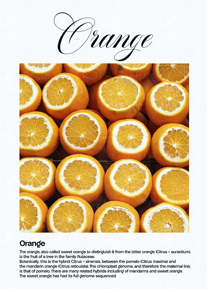 Orange Fruit Close-Up