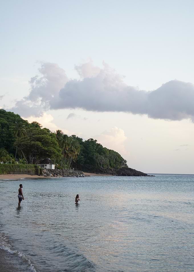 Tropical Beach Scene