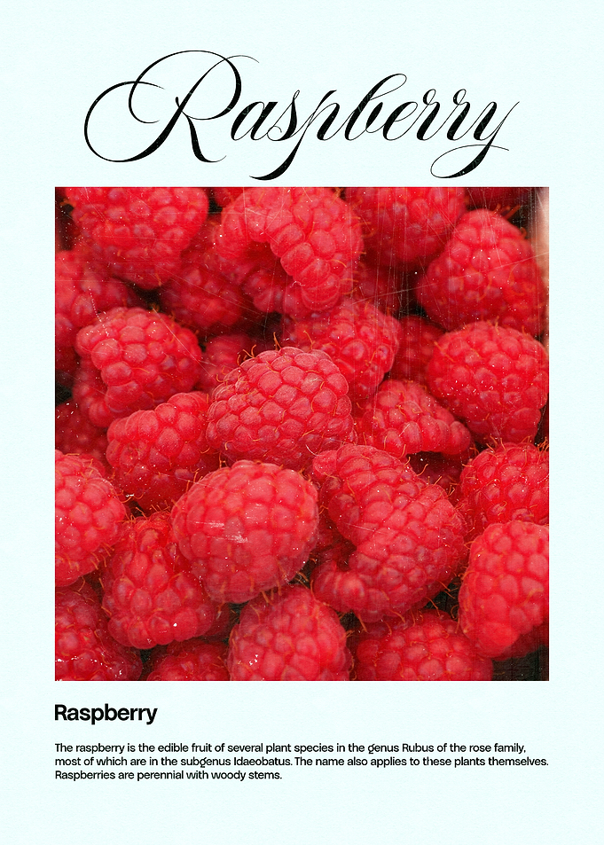 Close-up of Raspberries