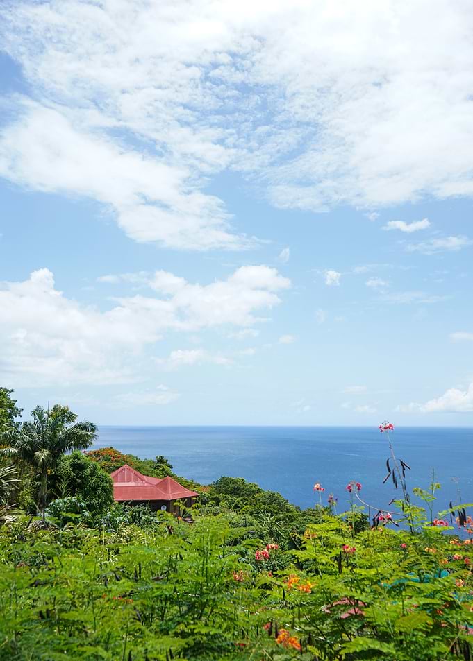 Tropical Island and the red house