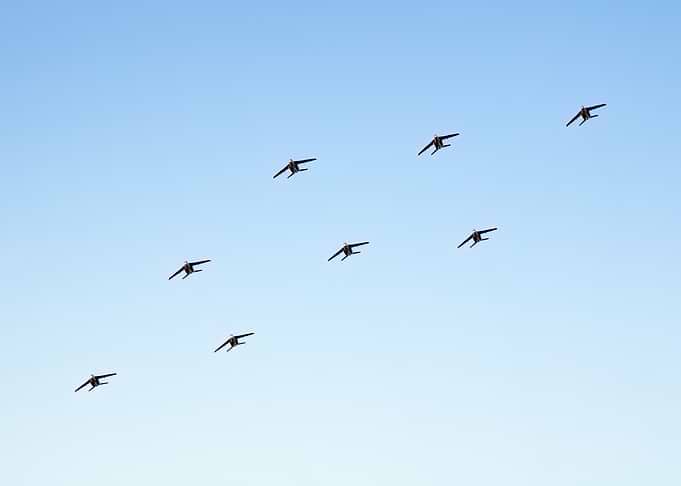 Patrouille de France en formation Diamant