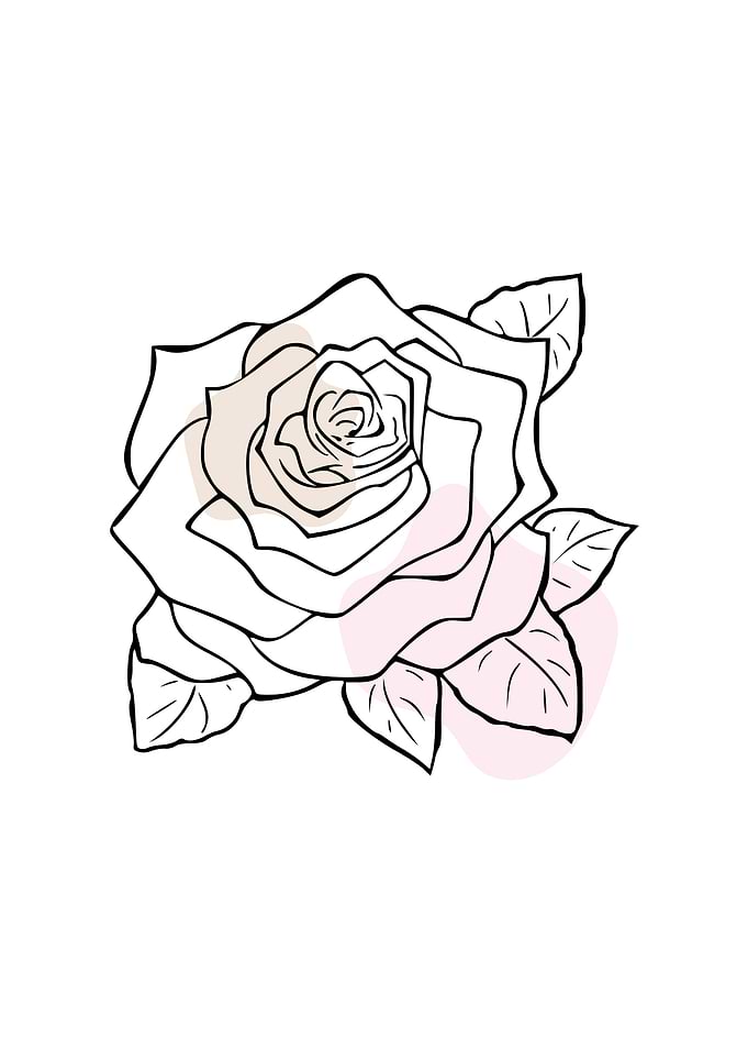 Line Art Rose