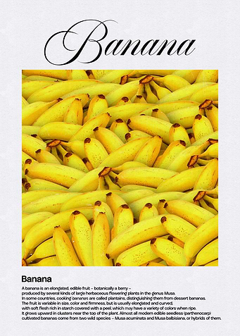 Yellow Banana Bunch