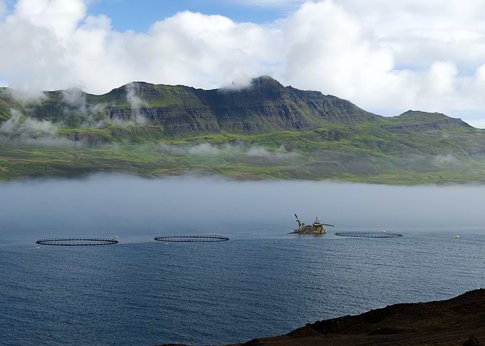 Misty Fjord with Fish Farms in Iceland
