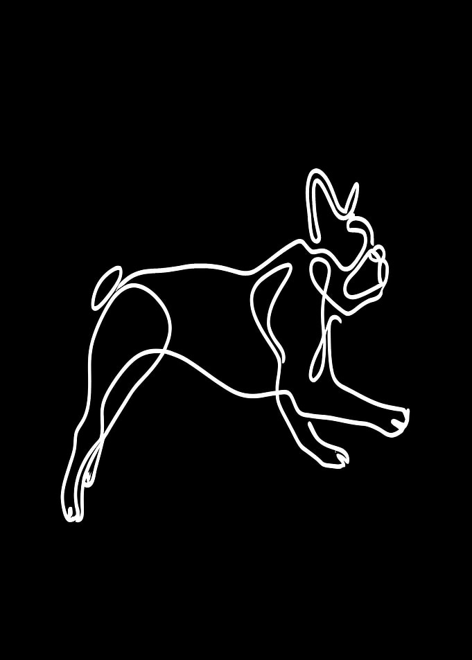 French Bulldog Line Art