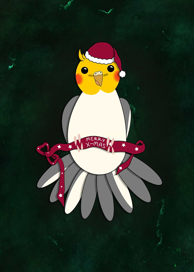 Parakeet Cockatiel sharing Cheerful Christmas Spirit