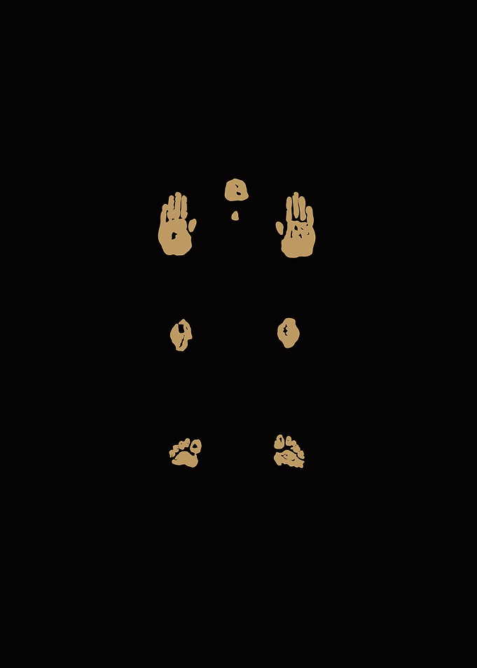 Hand and Foot Prints