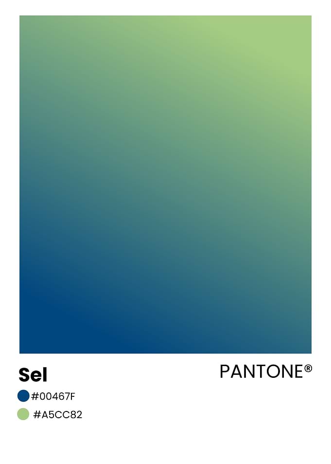 Pantone Color Swatch