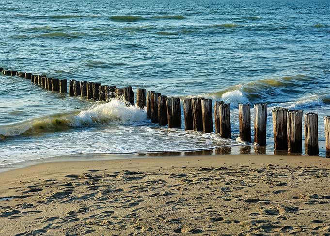 Wooden Breakwater on Sandy Beach