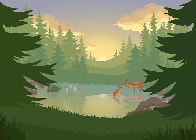 Forest Sunset with Lake and Animals