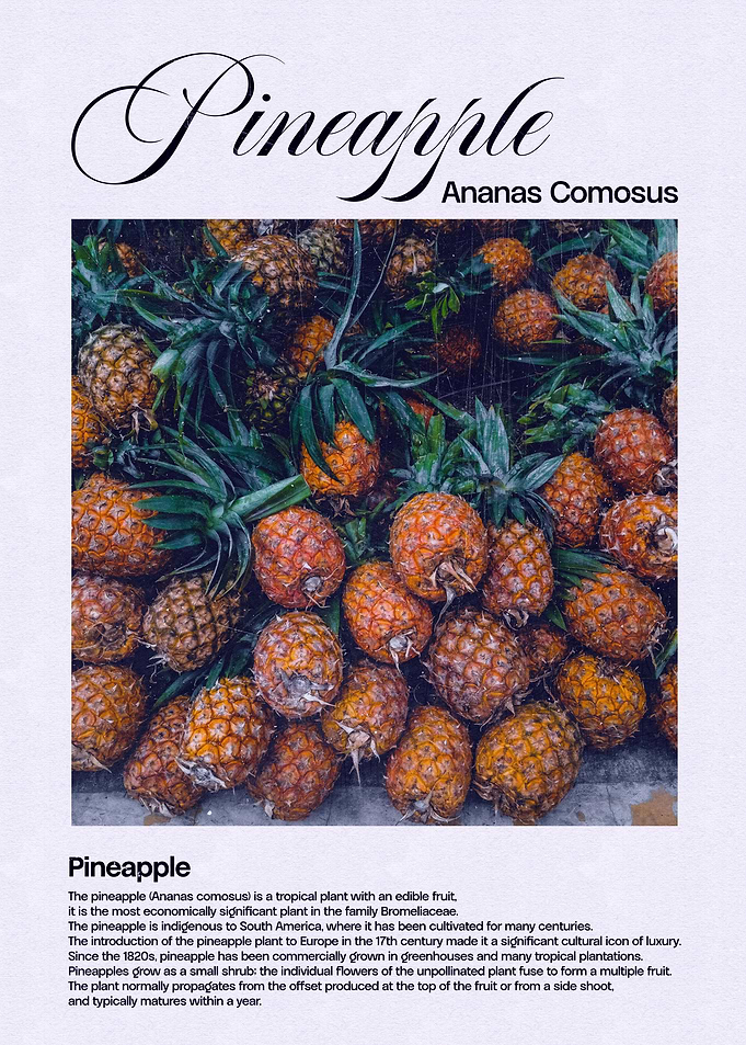 Pineapple Fruit Close-Up