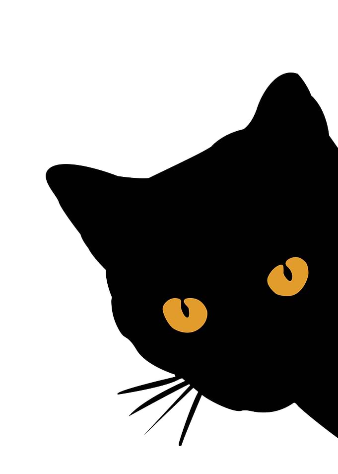 Black Cat