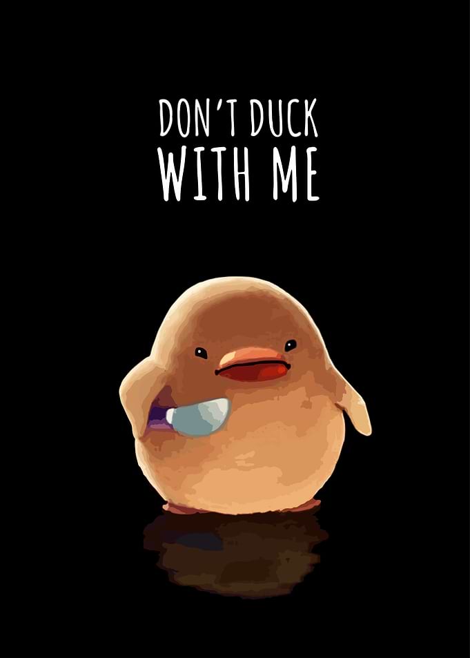 Don't Duck With Me