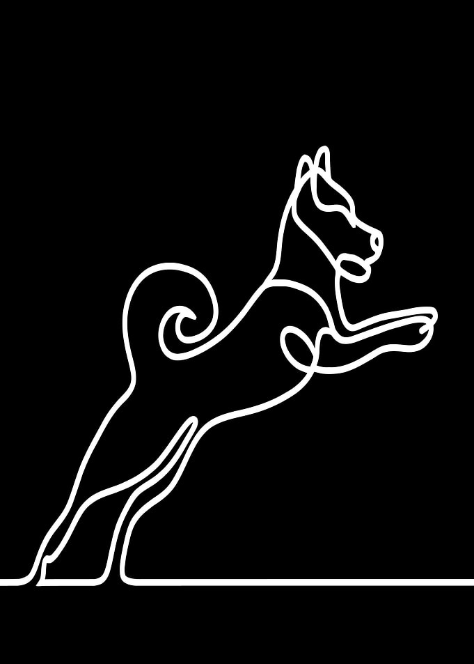 Shiba Inu Dog Line Art