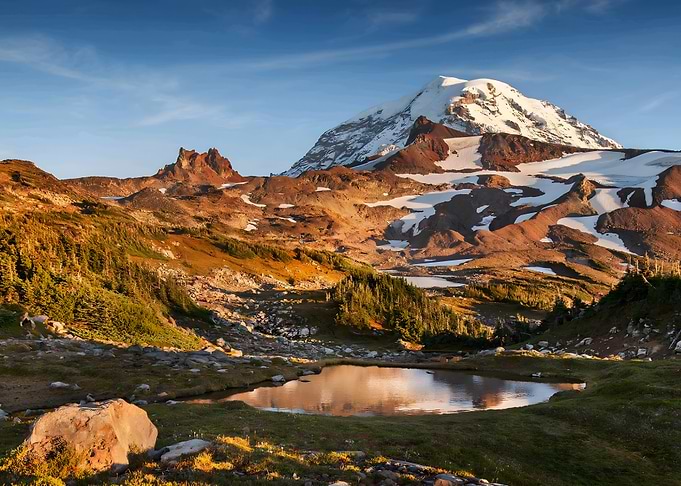 Mount Rainier Landscape