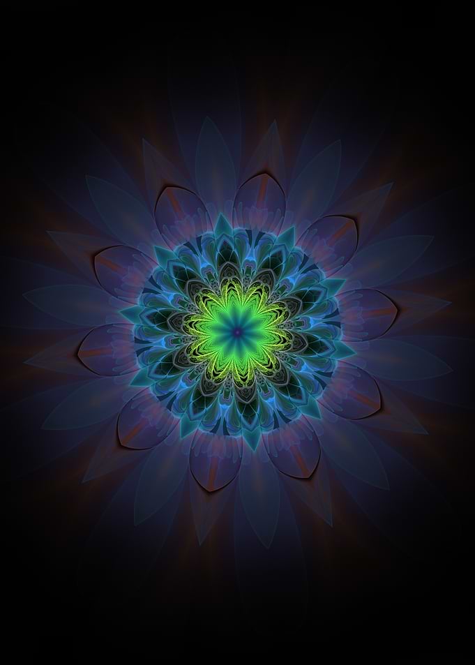 Jewelled Chrysanthemum