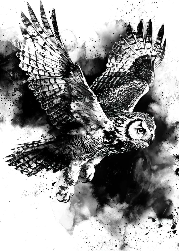 Flying Owl Ink Art