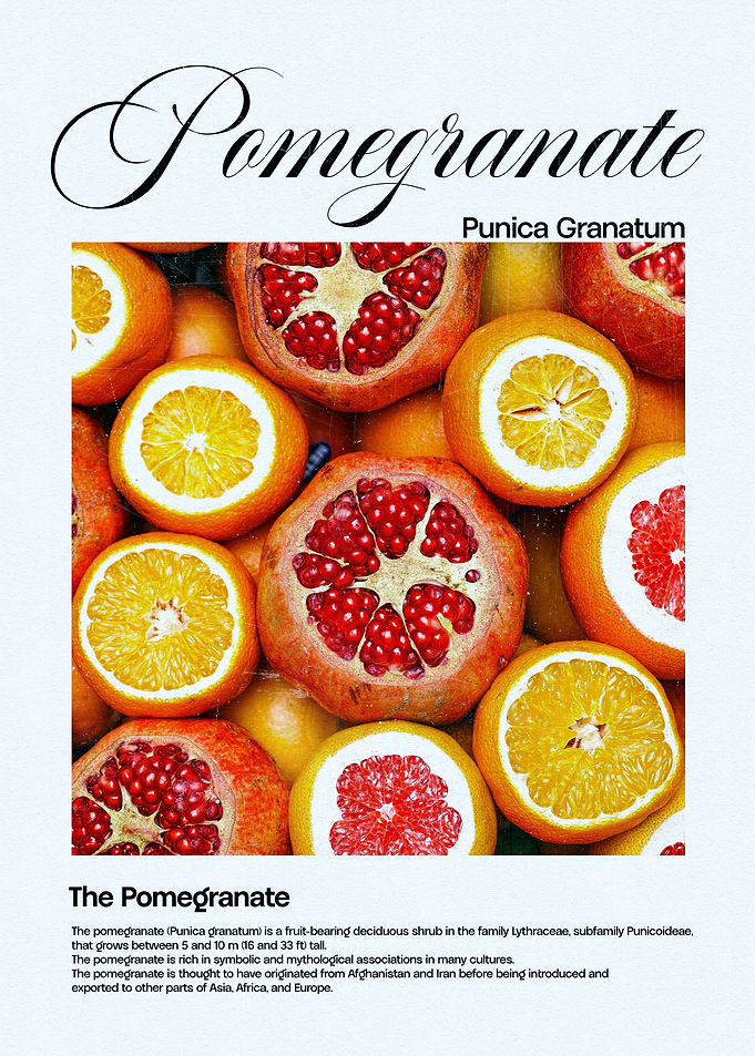 Pomegranate Fruit
