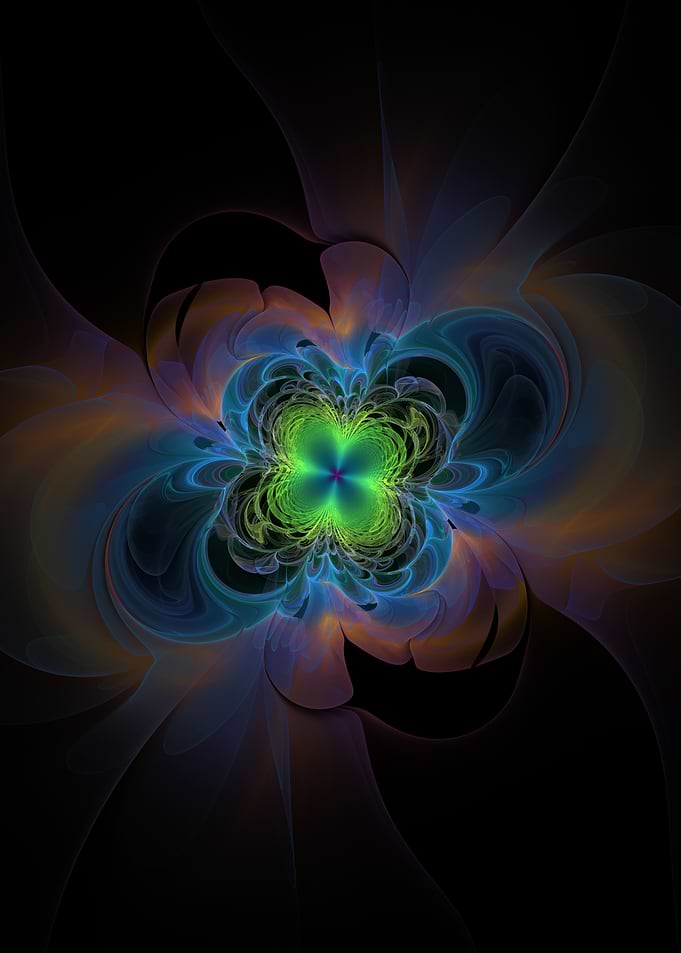 Flower of the Cosmos