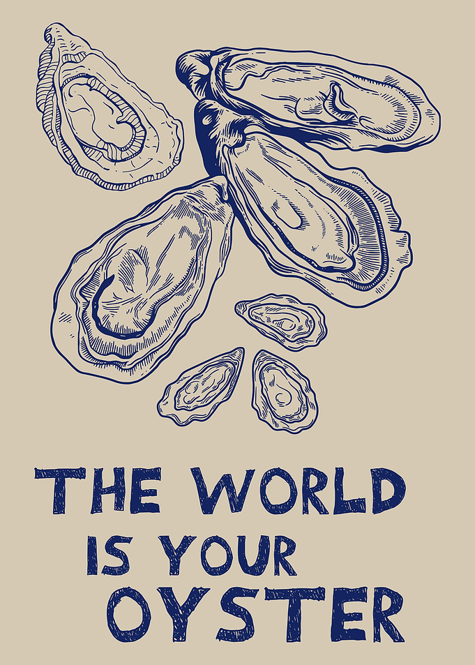 Oyster Illustration