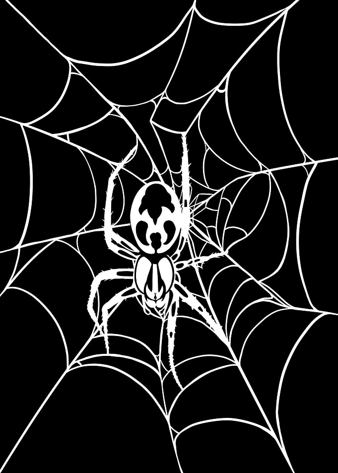 Spider Web Silhouette