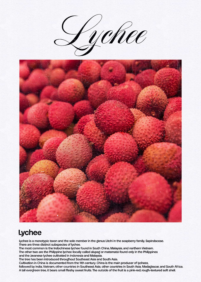 Lychee Fruit Close-Up