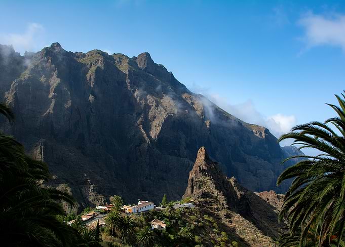 Mountainous Landscape with Palm Trees