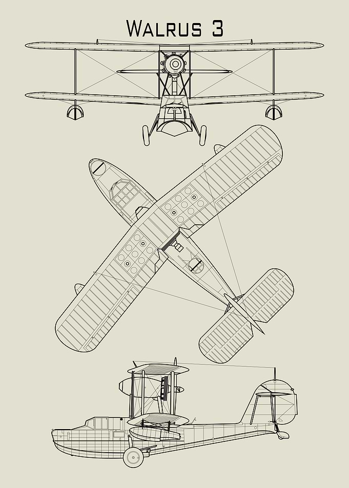 Walrus 3 Airplane Blueprint