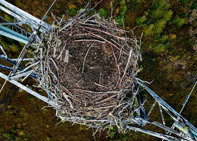 The Eagles Nest