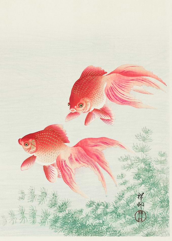 Two veil goldfish (1926) by Ohara Koson (1877-1945).