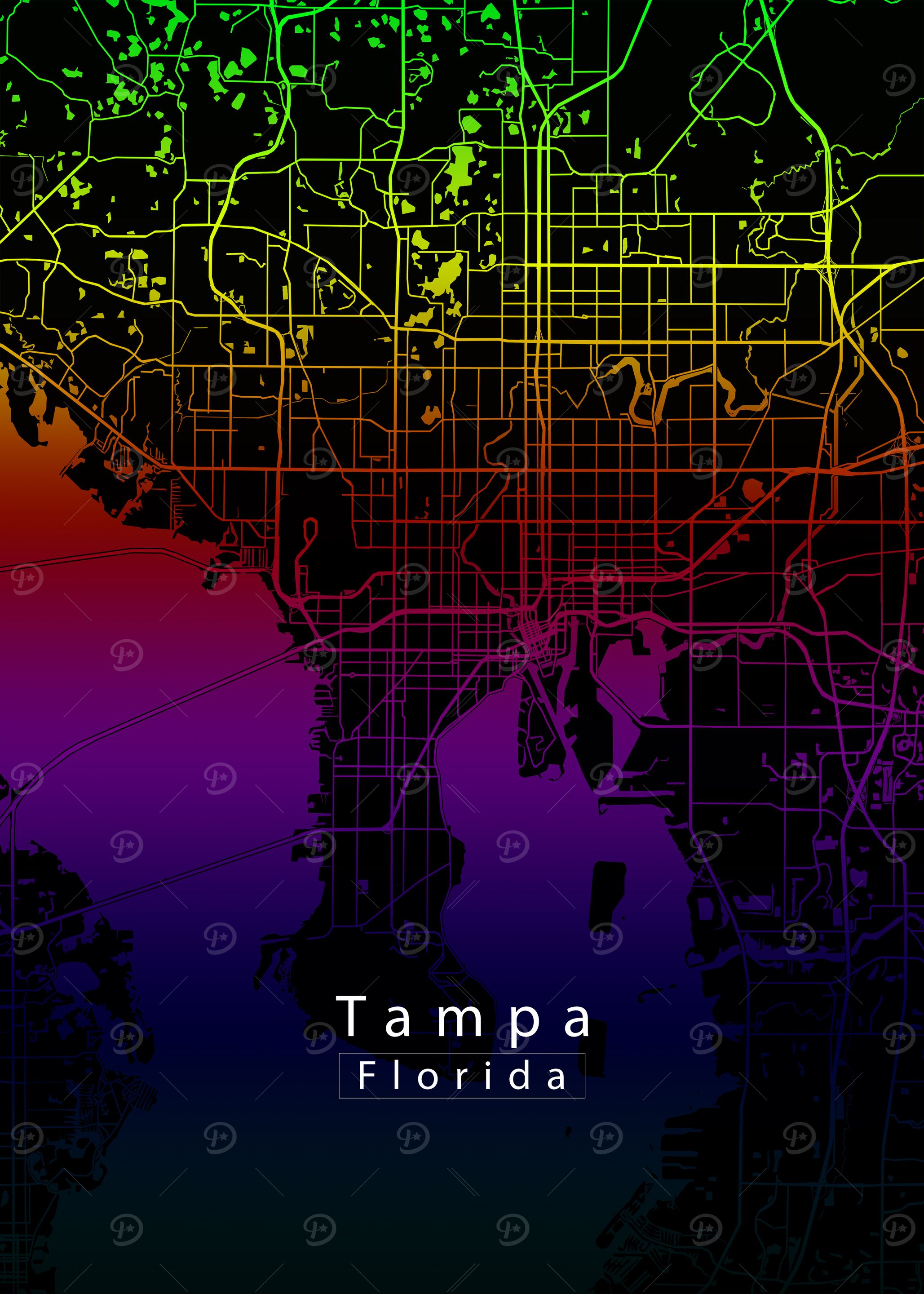 Tampa Florida City Map