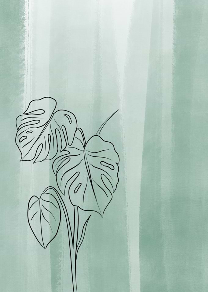 Monstera Leaf Line Art