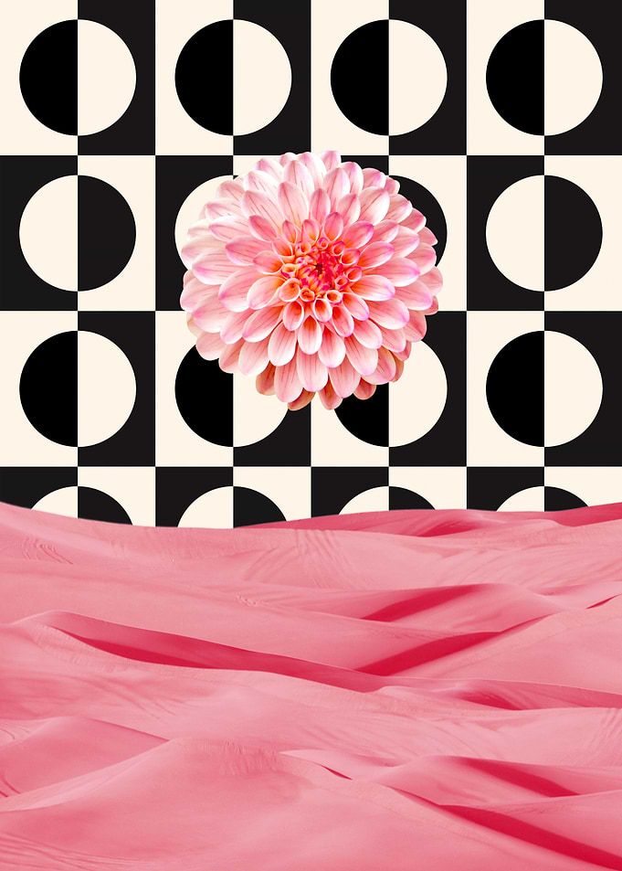 Dahlia Desert