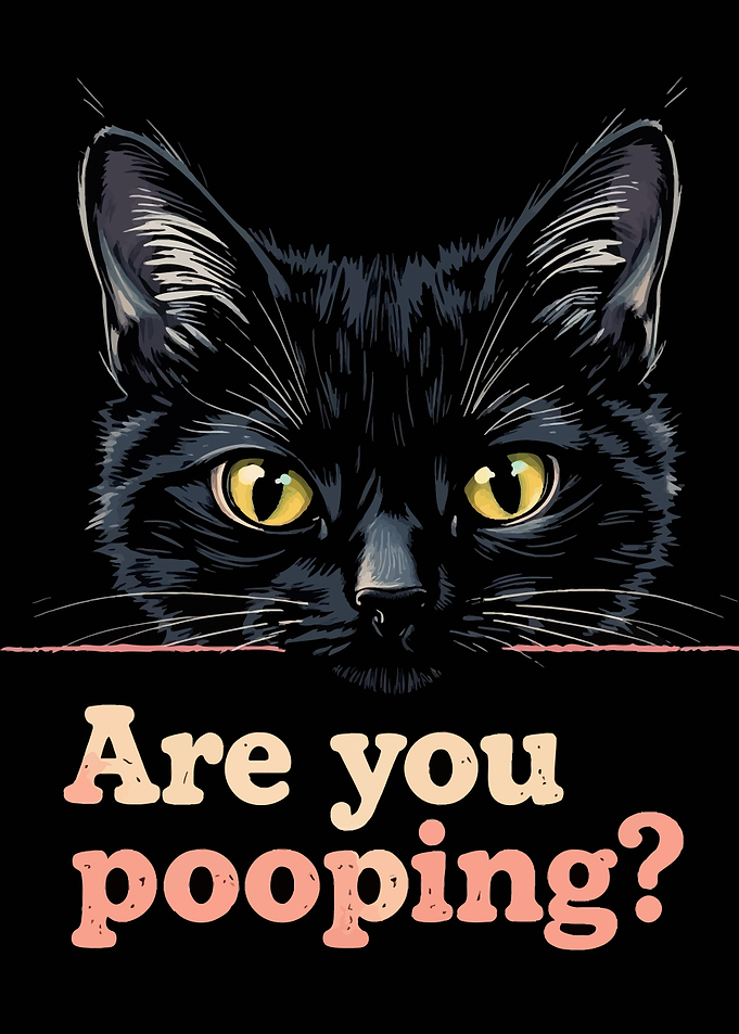 Black Cat Pooping Meme