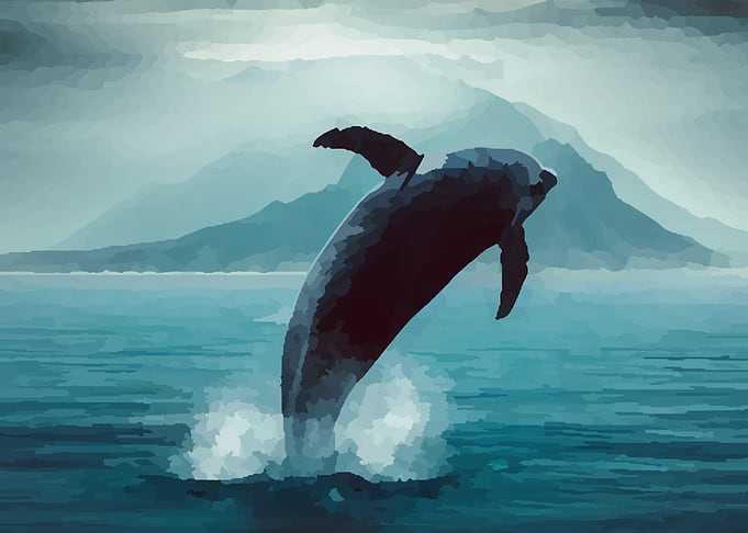 Dolphin Leaping in Ocean