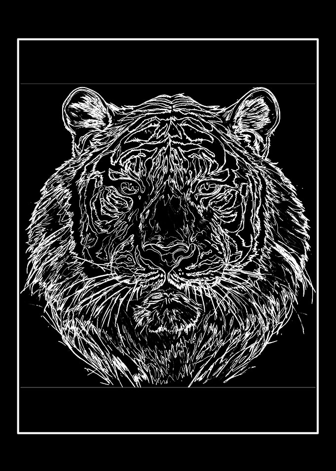 Tiger Line Art