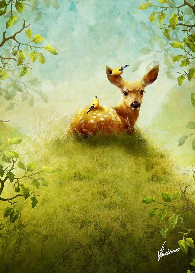 Spring of Youth