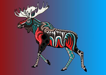 Alaska Native Moose